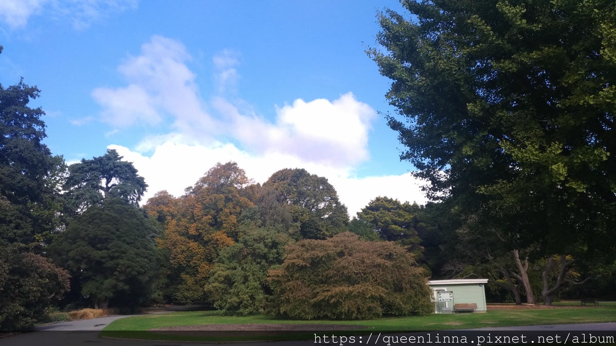 P_20190412_143035.jpg P_20190412_143035.jpg