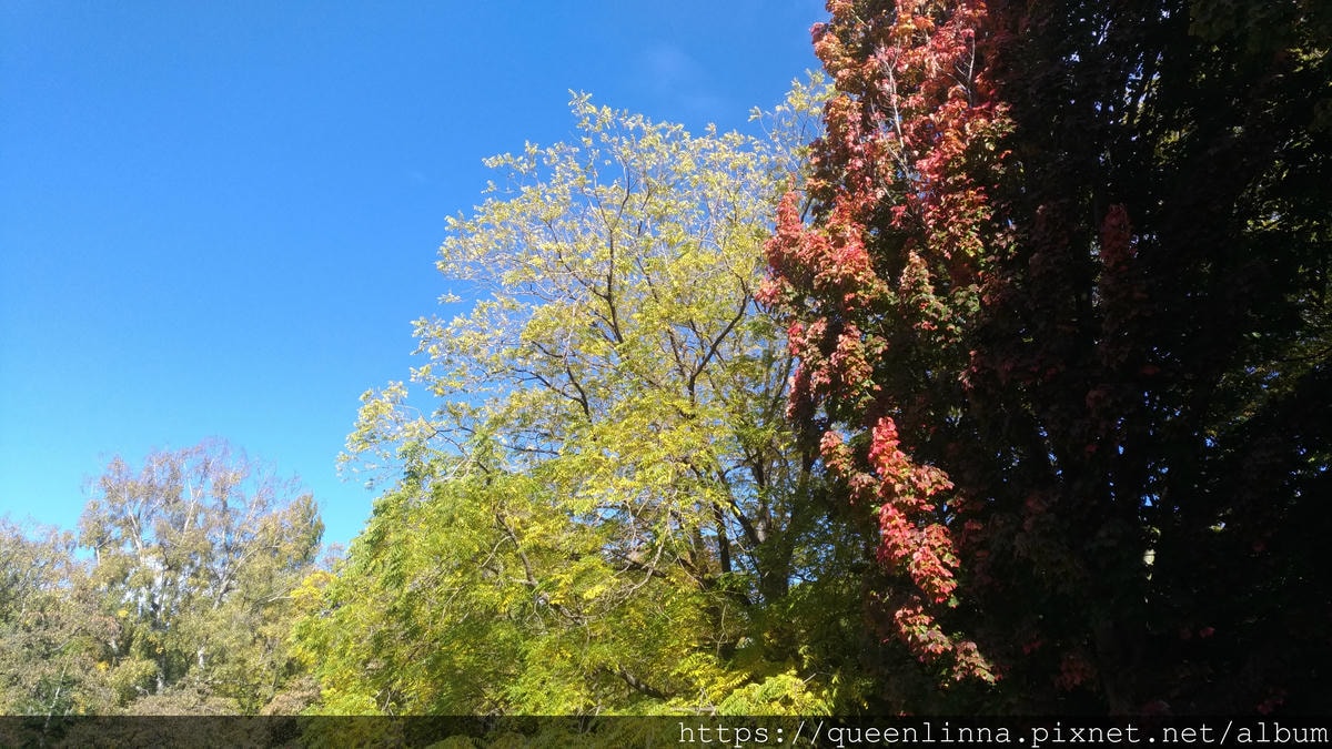 P_20190412_145338.jpg P_20190412_145338.jpg