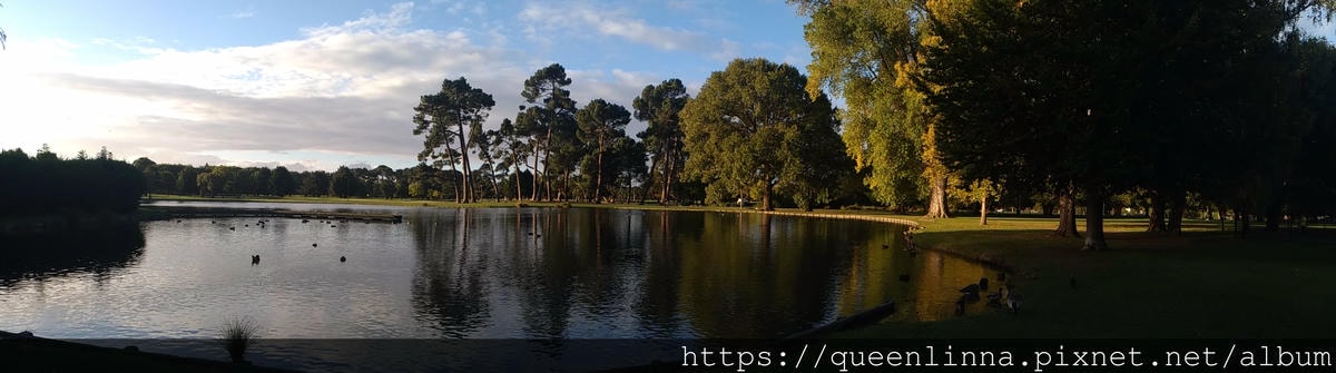 P_20190412_170422_PN.jpg P_20190412_170422_PN.jpg