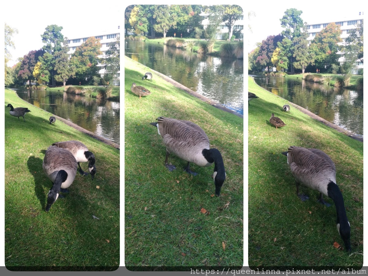 19-07-08-11-01-26-343_deco.jpg 19-07-08-11-01-26-343_deco.jpg