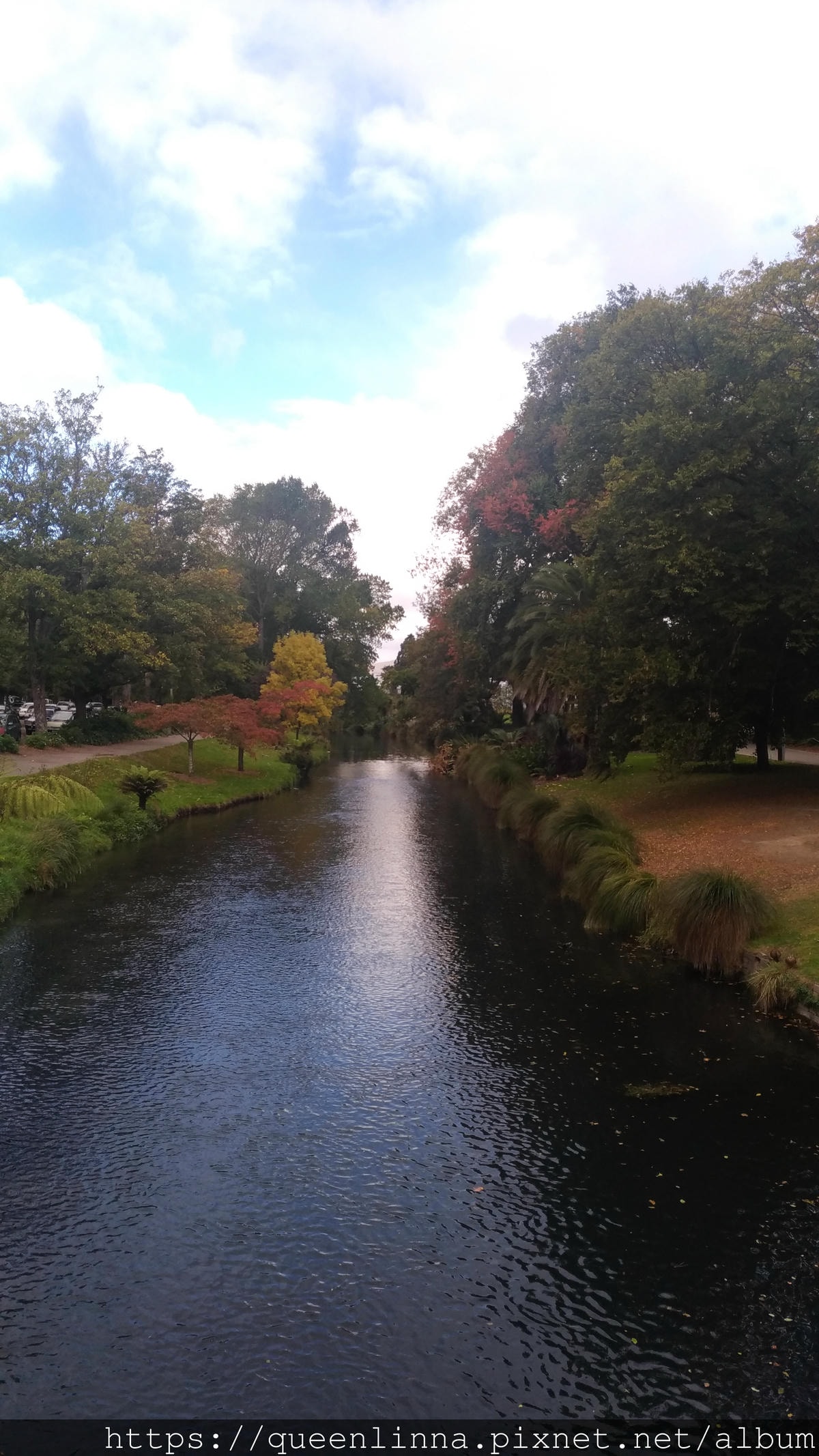 P_20190412_142811.jpg P_20190412_142811.jpg