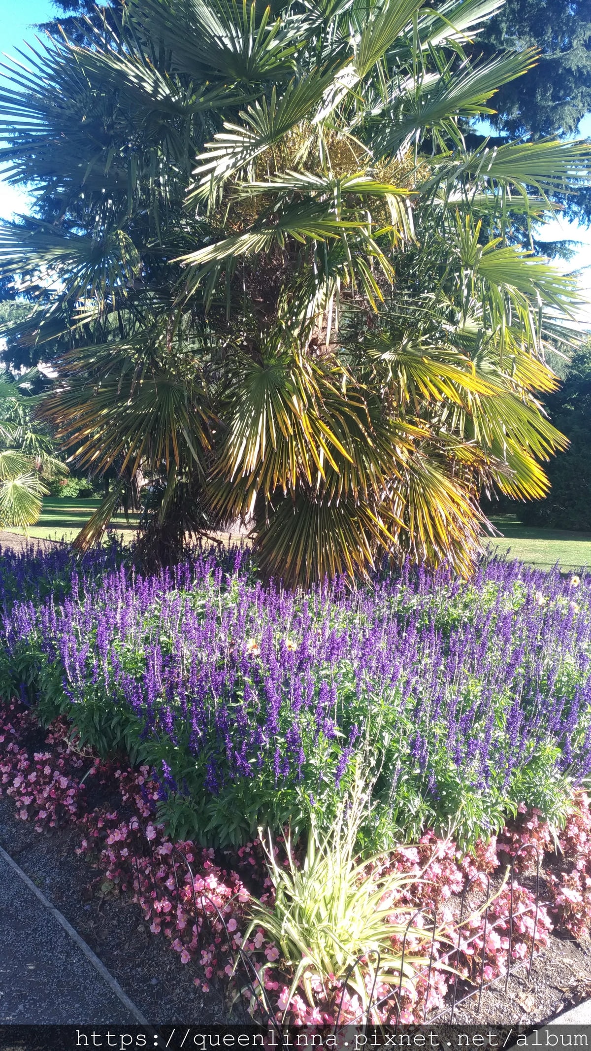 P_20190412_152958.jpg P_20190412_152958.jpg