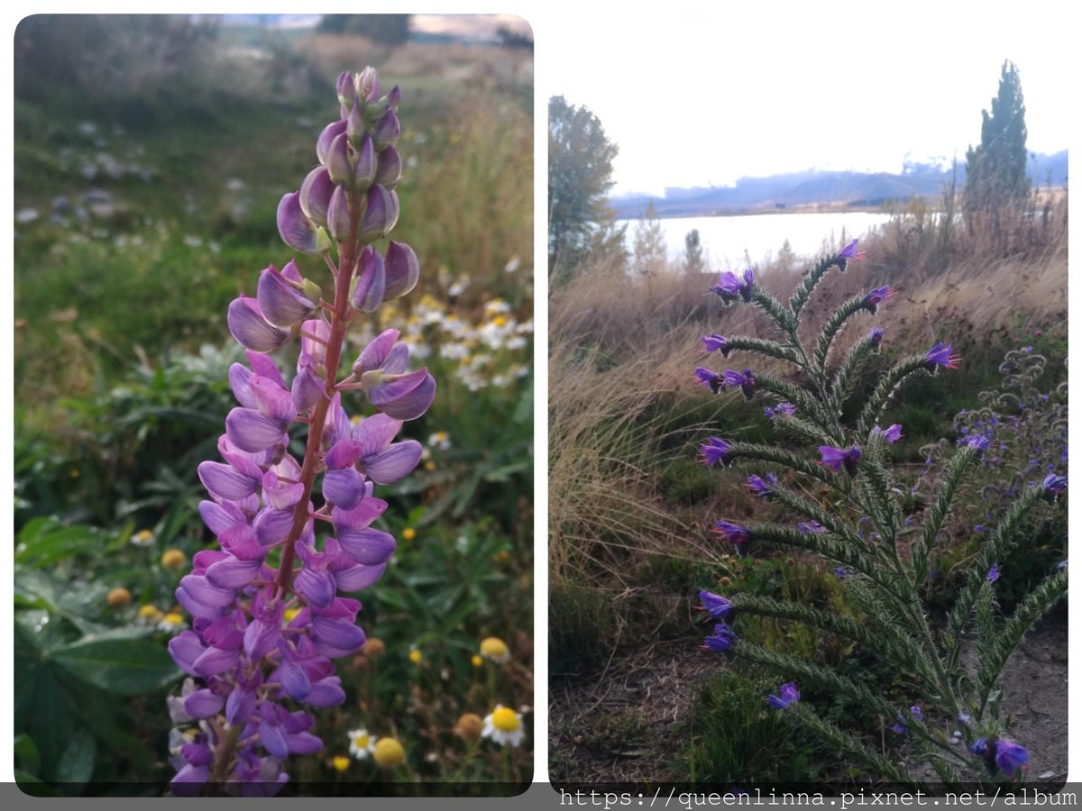 19-07-08-10-49-40-768_deco.jpg 19-07-08-10-49-40-768_deco.jpg