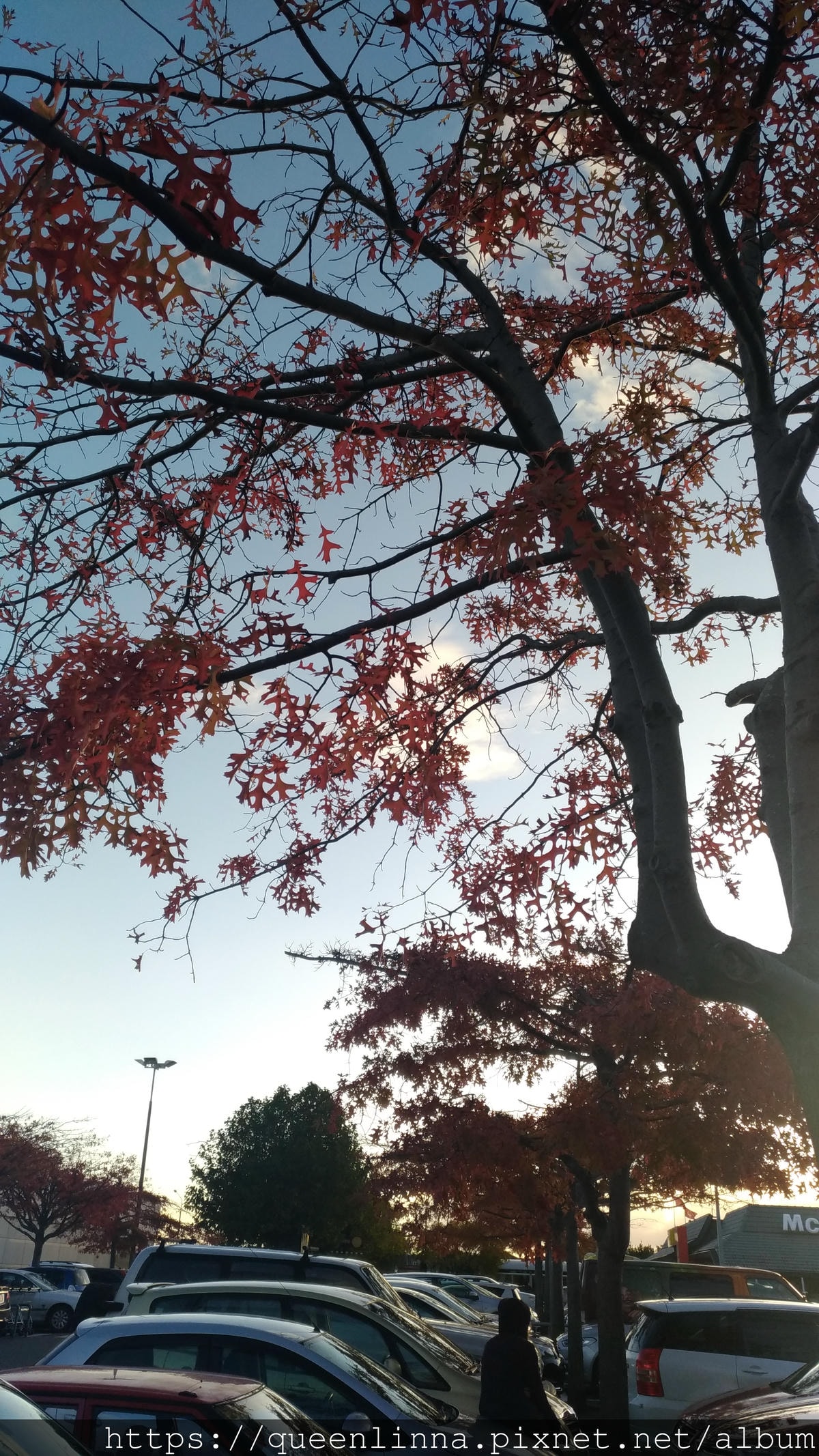 P_20190412_172122.jpg P_20190412_172122.jpg