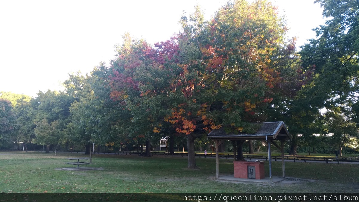 P_20190412_170515.jpg P_20190412_170515.jpg