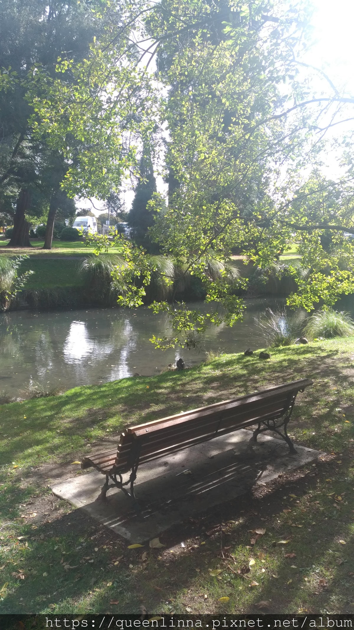 P_20190412_144009.jpg P_20190412_144009.jpg