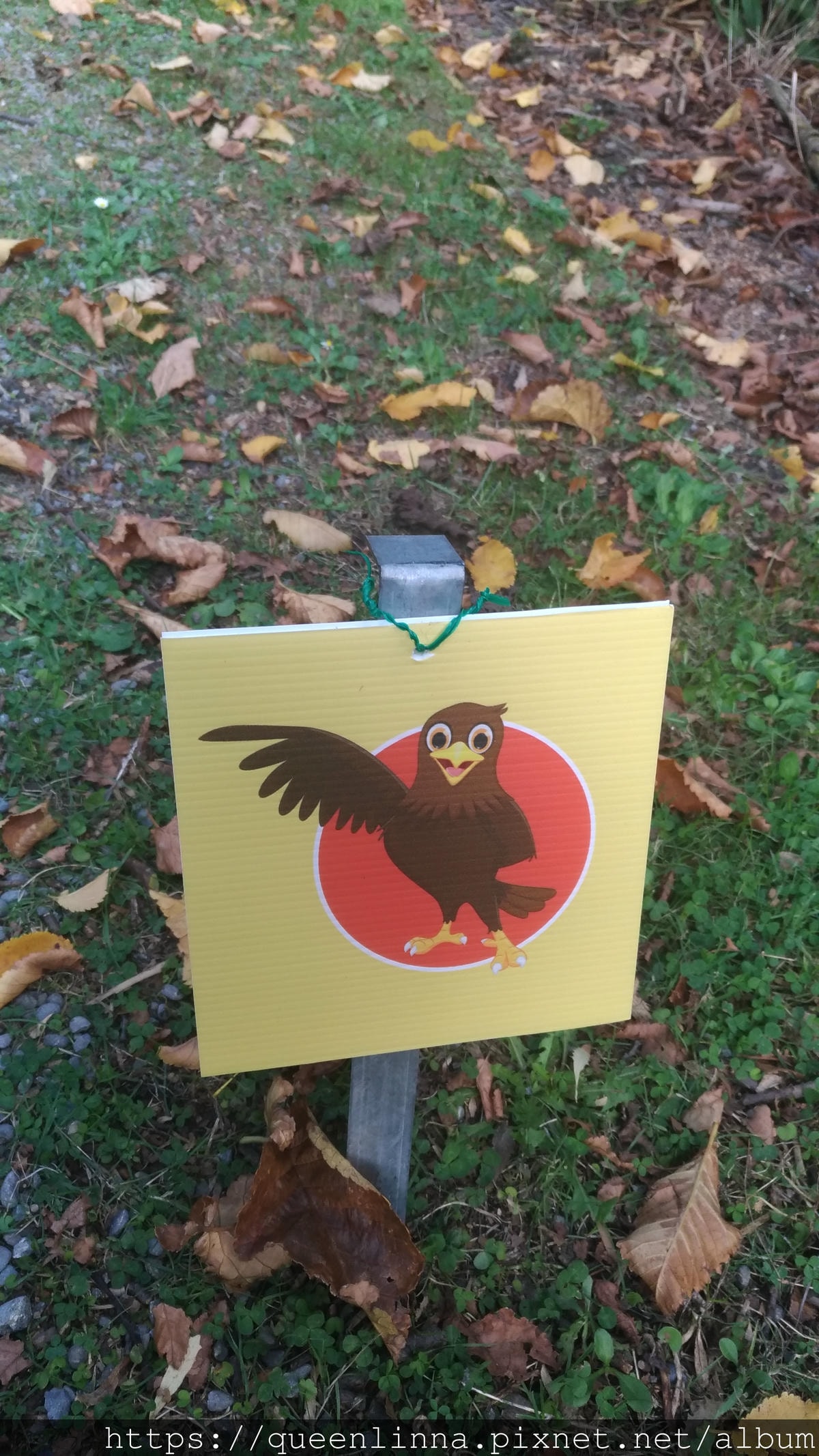 P_20190412_144733.jpg P_20190412_144733.jpg