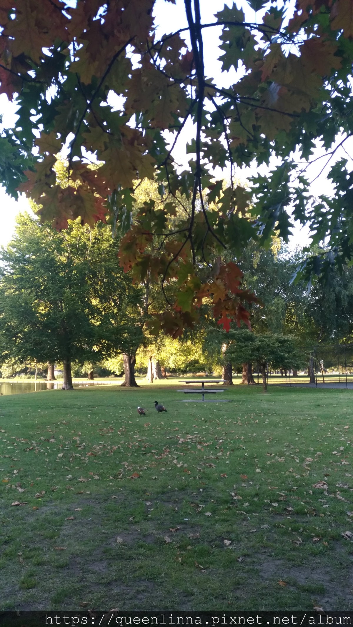 P_20190412_170316.jpg P_20190412_170316.jpg