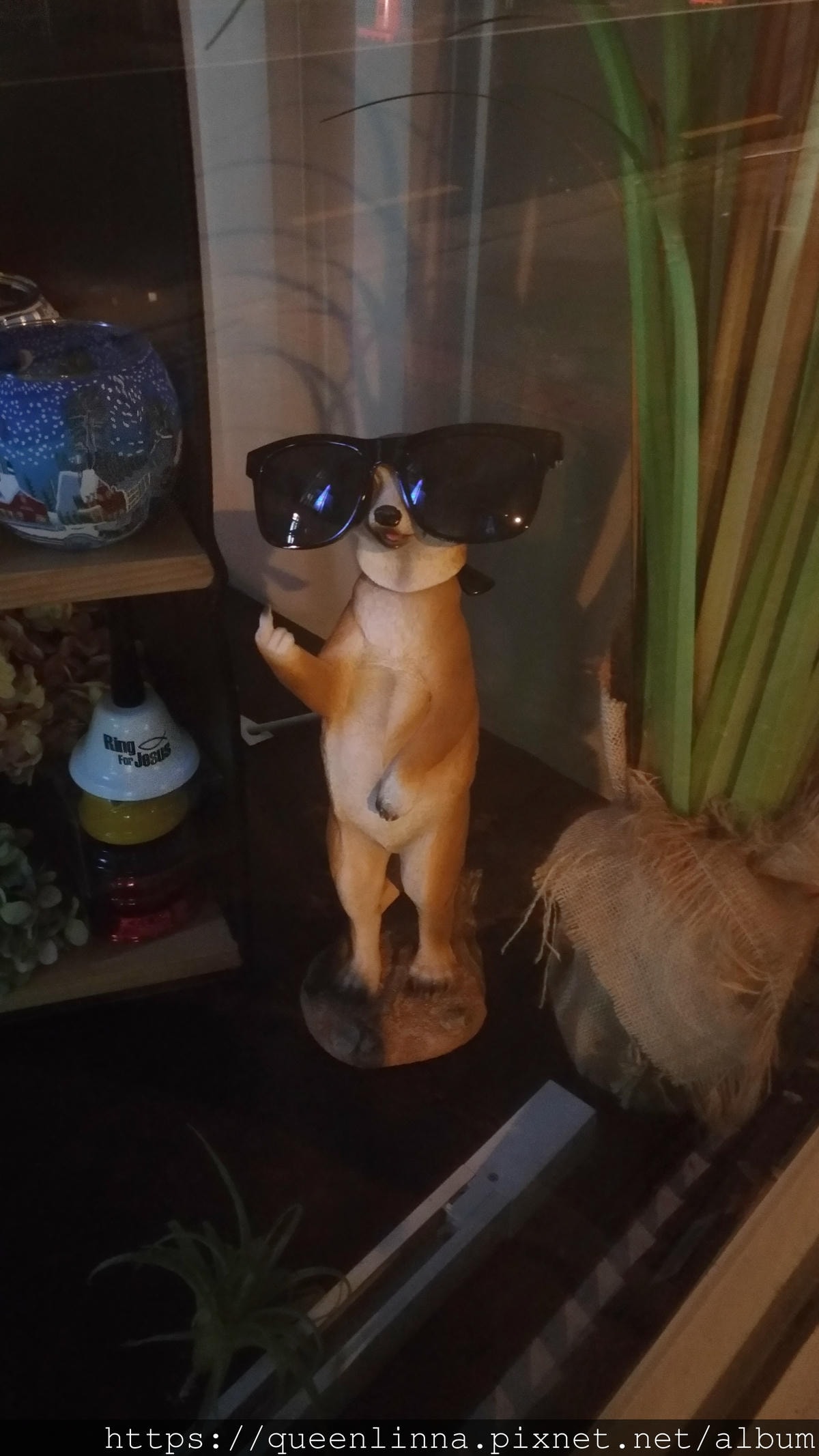 P_20190412_184423.jpg P_20190412_184423.jpg