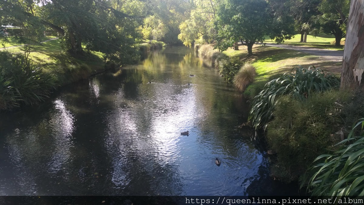 P_20190412_143830.jpg P_20190412_143830.jpg