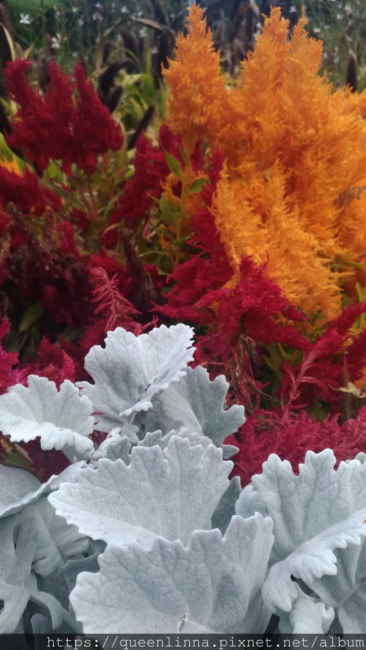 P_20190412_142918.jpg P_20190412_142918.jpg