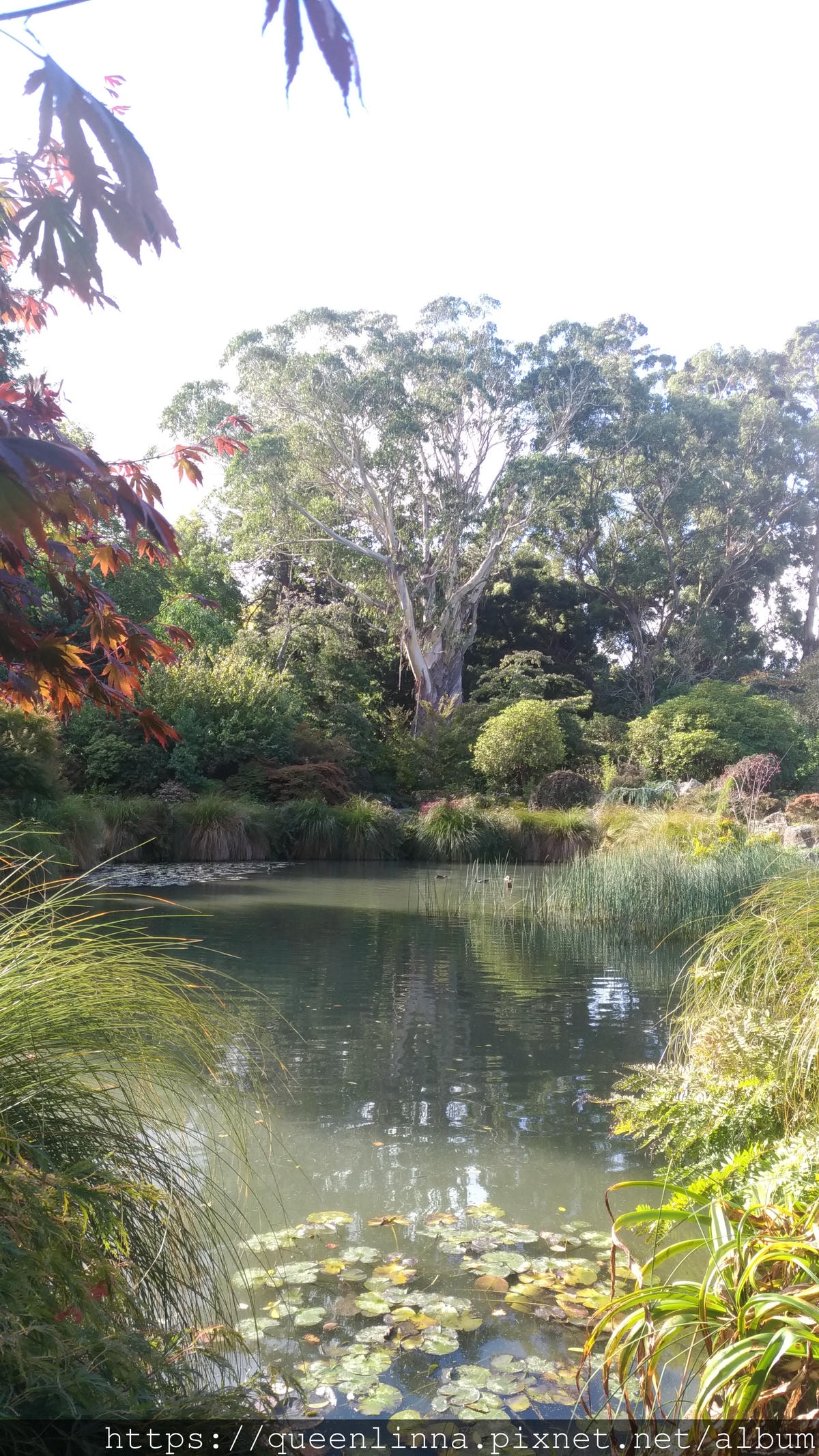 P_20190412_145400.jpg P_20190412_145400.jpg