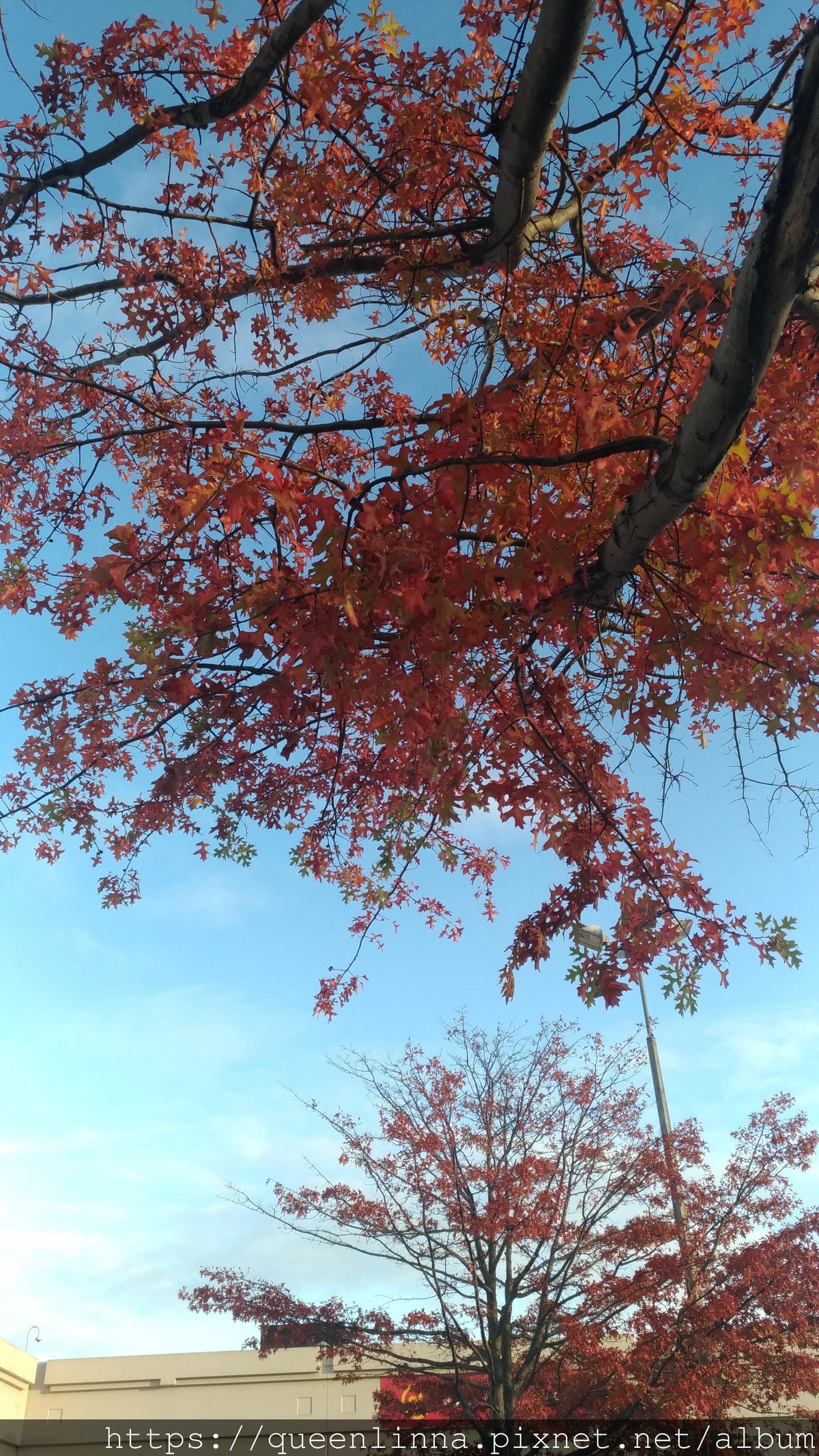 P_20190412_172153.jpg P_20190412_172153.jpg