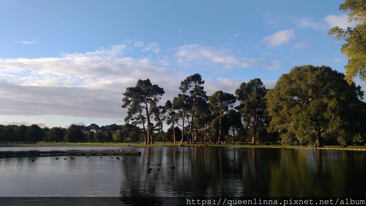 P_20190412_170453.jpg P_20190412_170453.jpg