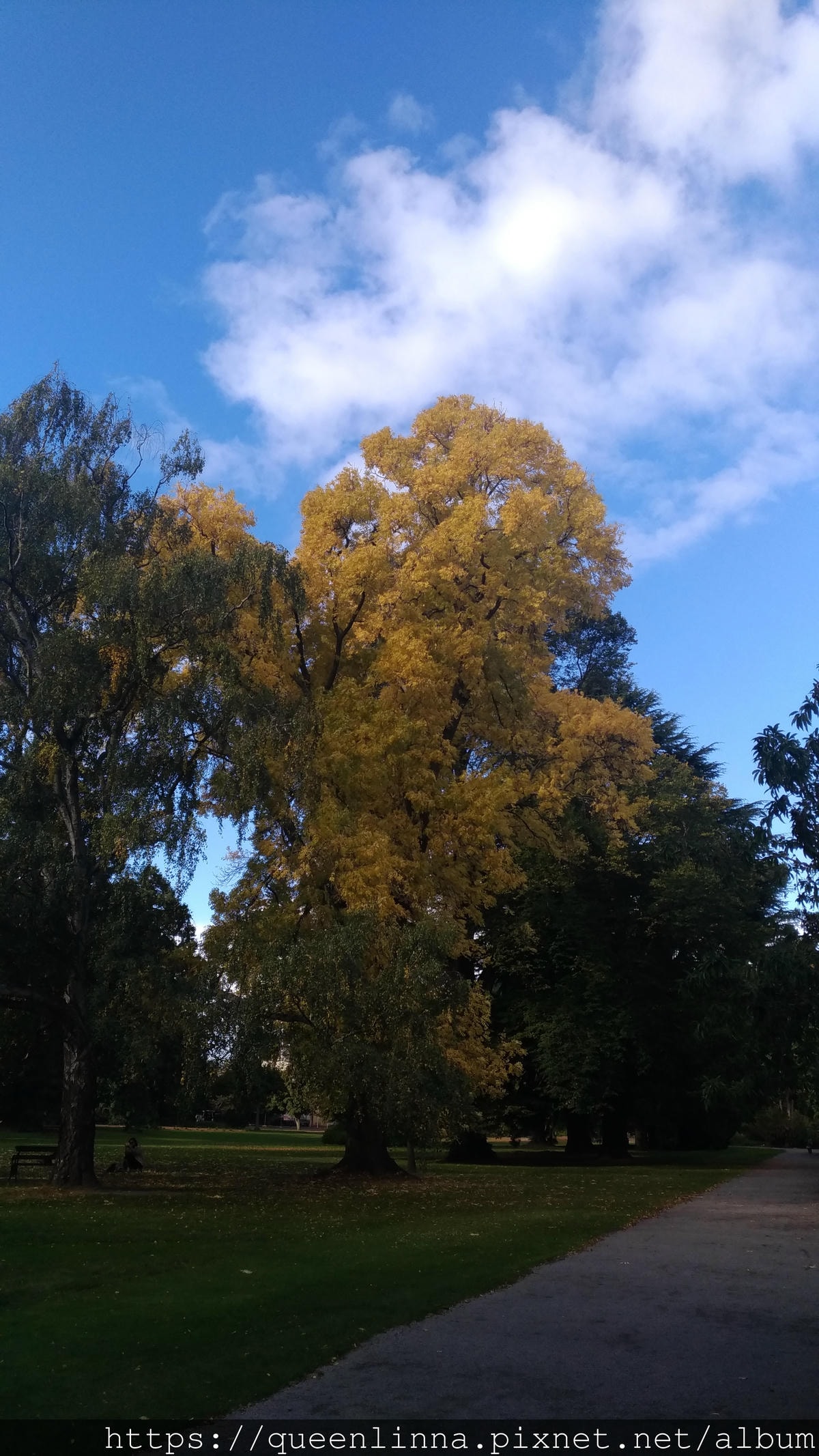 P_20190412_150543.jpg P_20190412_150543.jpg