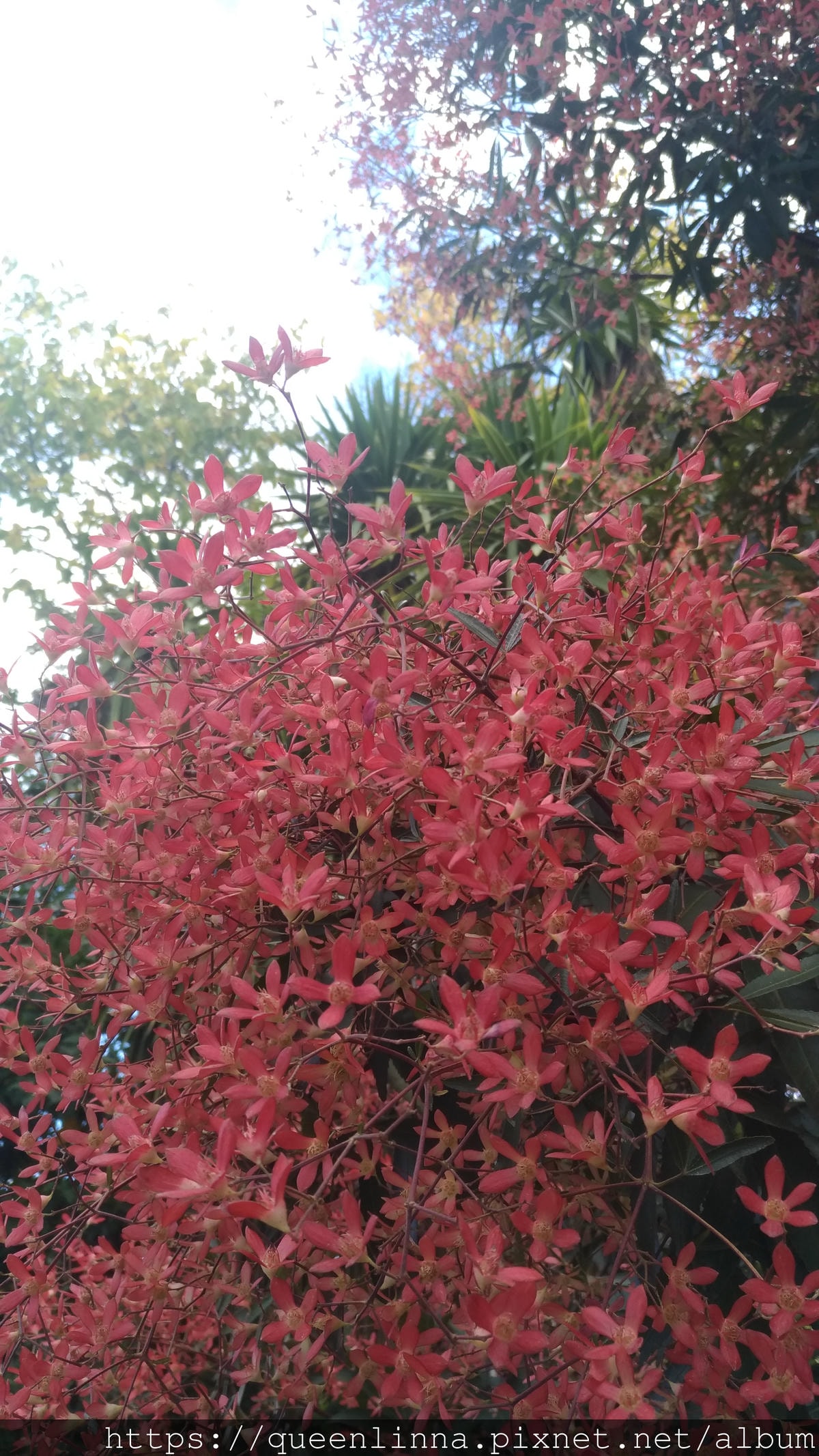 P_20190412_142936.jpg P_20190412_142936.jpg