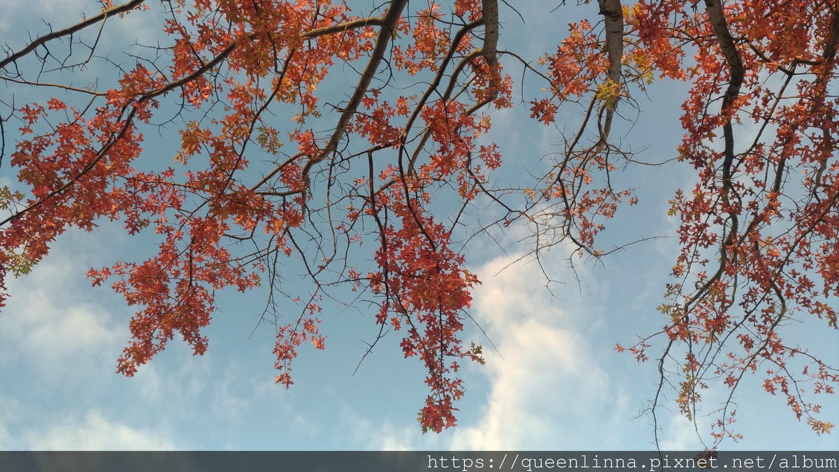 P_20190412_172147.jpg P_20190412_172147.jpg