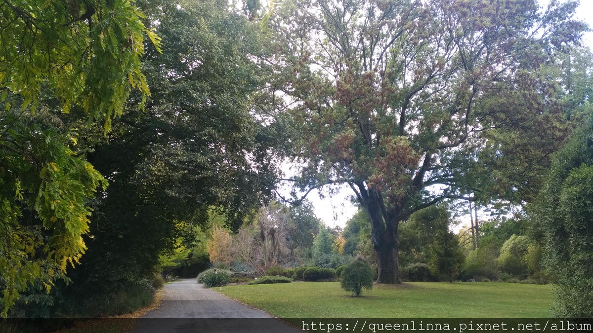 P_20190412_144633.jpg P_20190412_144633.jpg