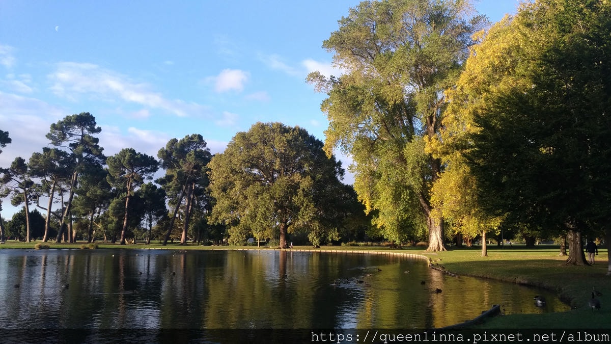 P_20190412_170505.jpg P_20190412_170505.jpg