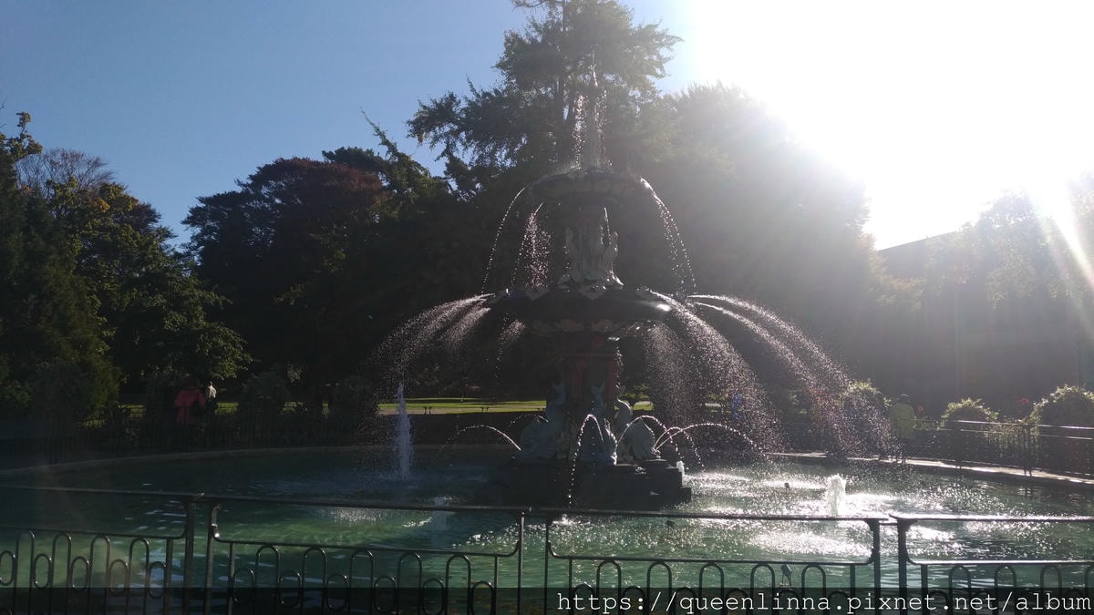 P_20190412_152938.jpg P_20190412_152938.jpg