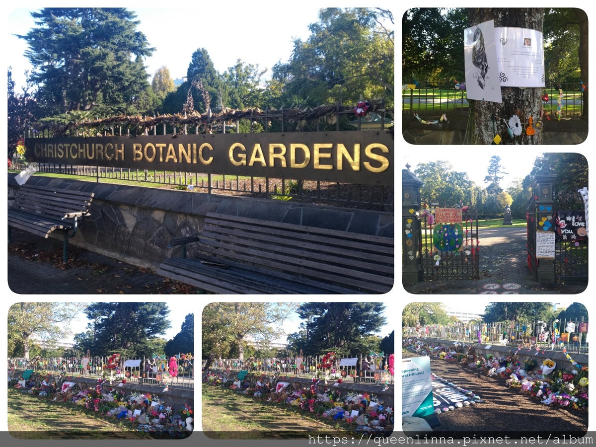 19-07-08-11-04-21-146_deco.jpg 19-07-08-11-04-21-146_deco.jpg