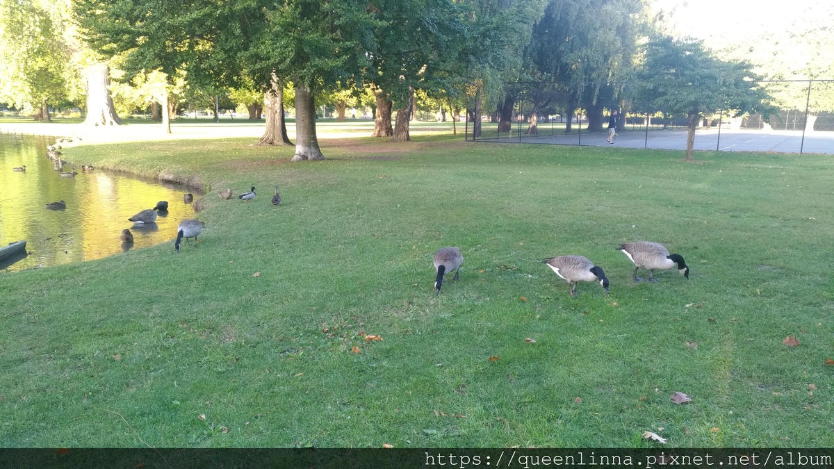 P_20190412_170429.jpg P_20190412_170429.jpg