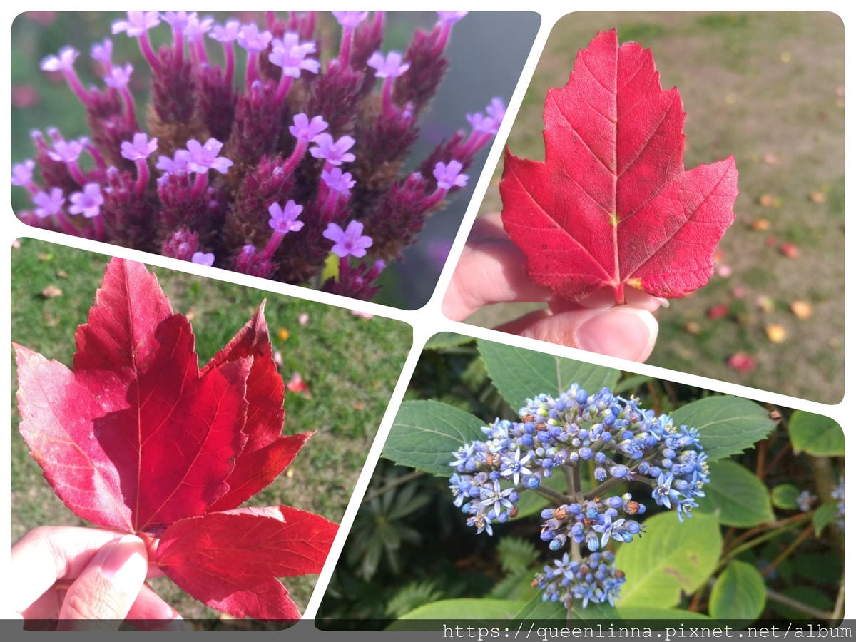 19-07-08-11-02-54-079_deco.jpg 19-07-08-11-02-54-079_deco.jpg