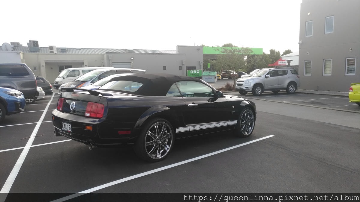 P_20190412_115806.jpg P_20190412_115806.jpg