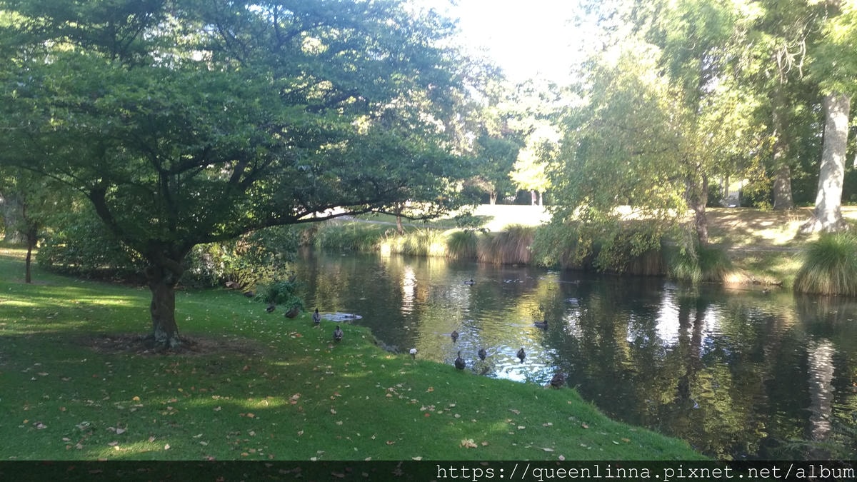 P_20190412_145836.jpg P_20190412_145836.jpg