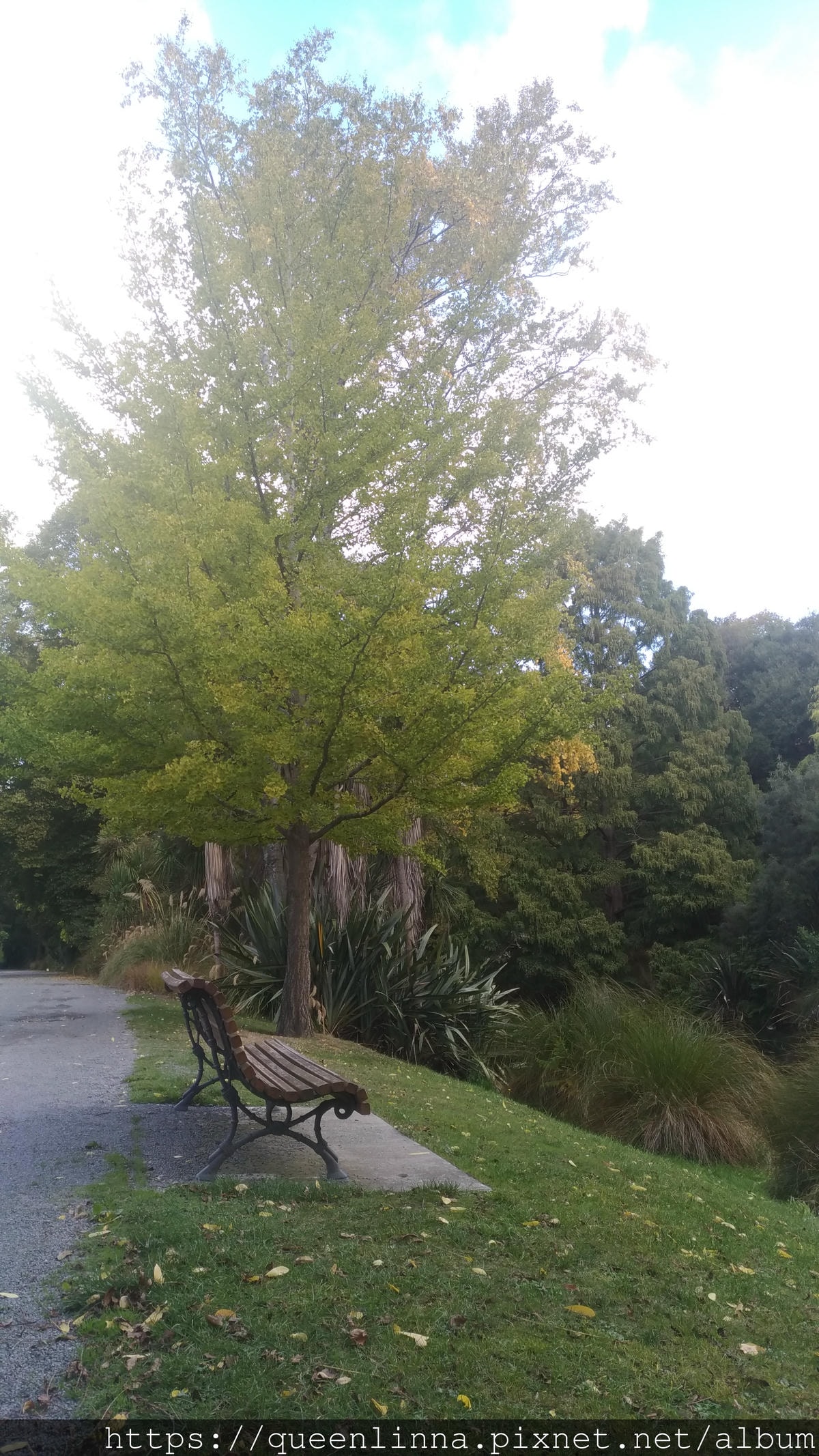 P_20190412_144358.jpg P_20190412_144358.jpg