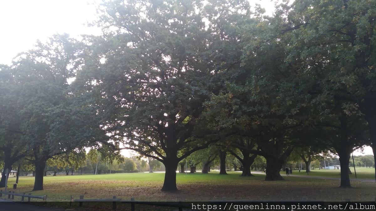 P_20190412_165222.jpg P_20190412_165222.jpg