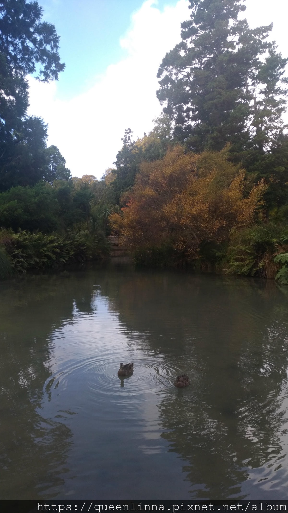 P_20190412_144301.jpg P_20190412_144301.jpg