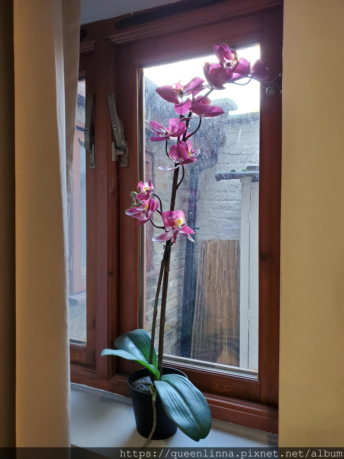 20191015_131648.jpg 20191015_131648.jpg