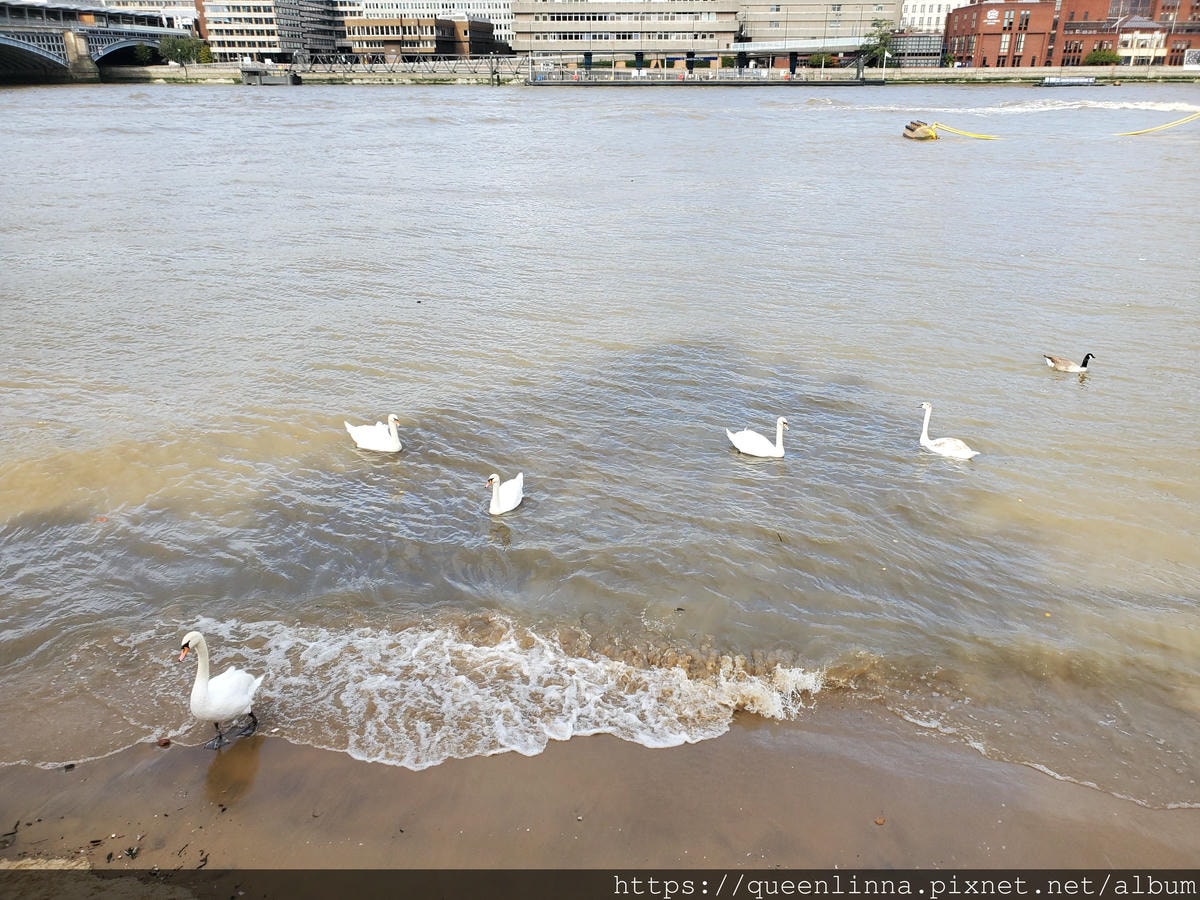 20191016_135900.jpg 20191016_135900.jpg