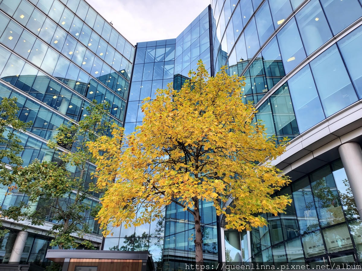 20191016_151031.jpg 20191016_151031.jpg