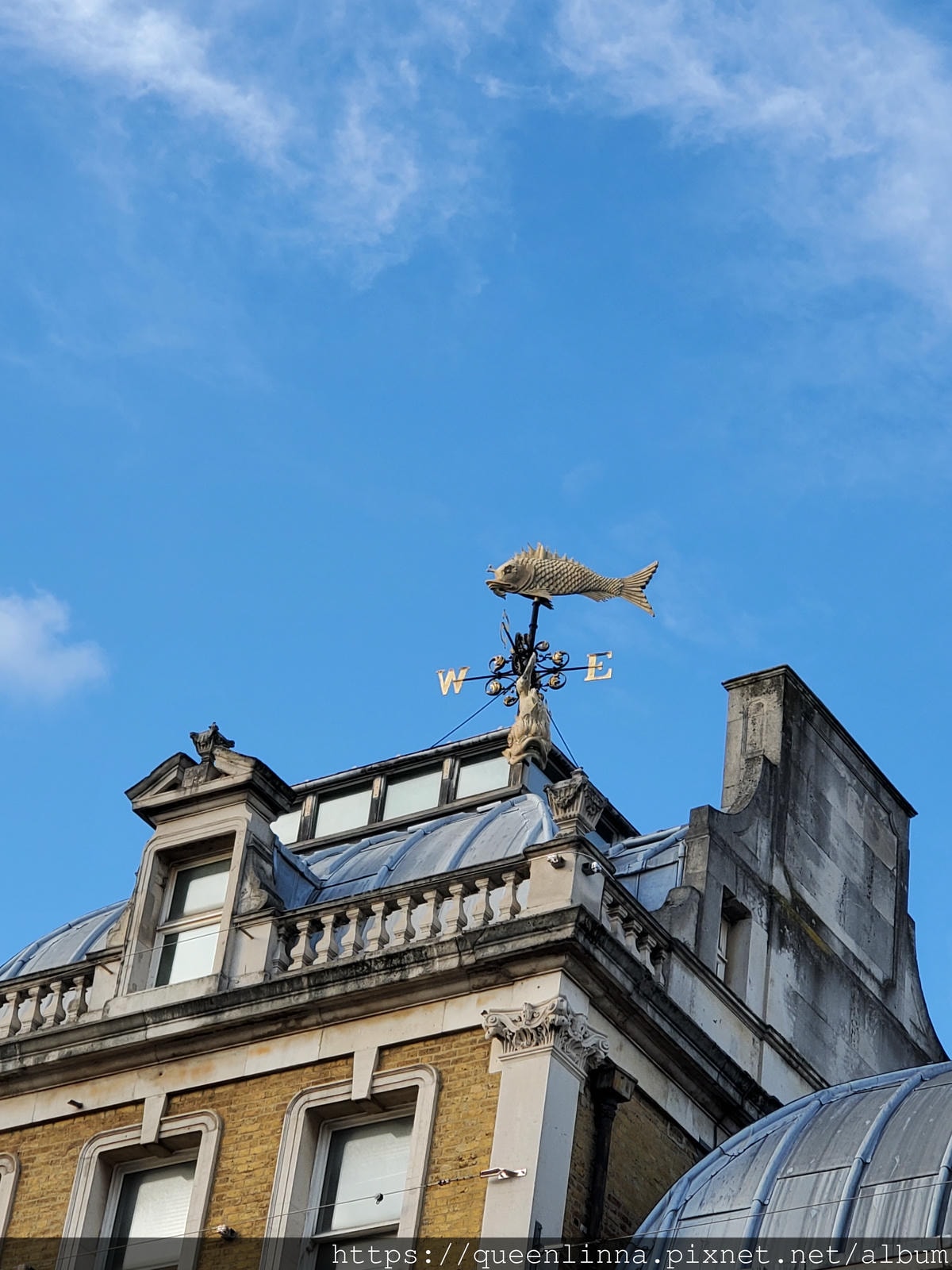 20191016_160448.jpg 20191016_160448.jpg