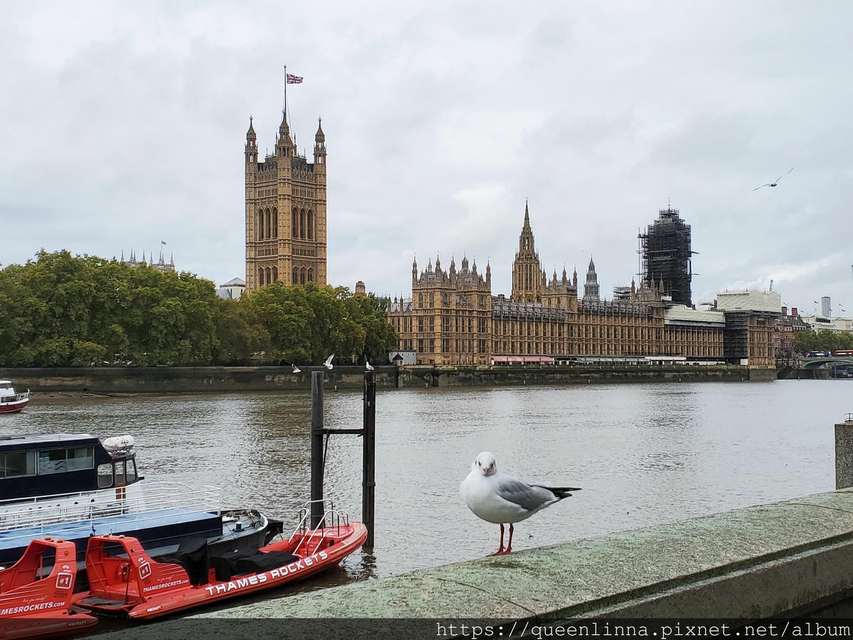 20191016_114950.jpg 20191016_114950.jpg