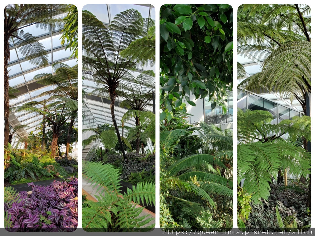 20-06-02-16-08-52-807_deco.jpg 20-06-02-16-08-52-807_deco.jpg