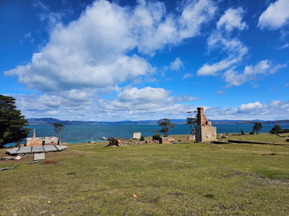 202511浪跡天涯@Tasmania-瑪麗亞島國家公園 Maria Island