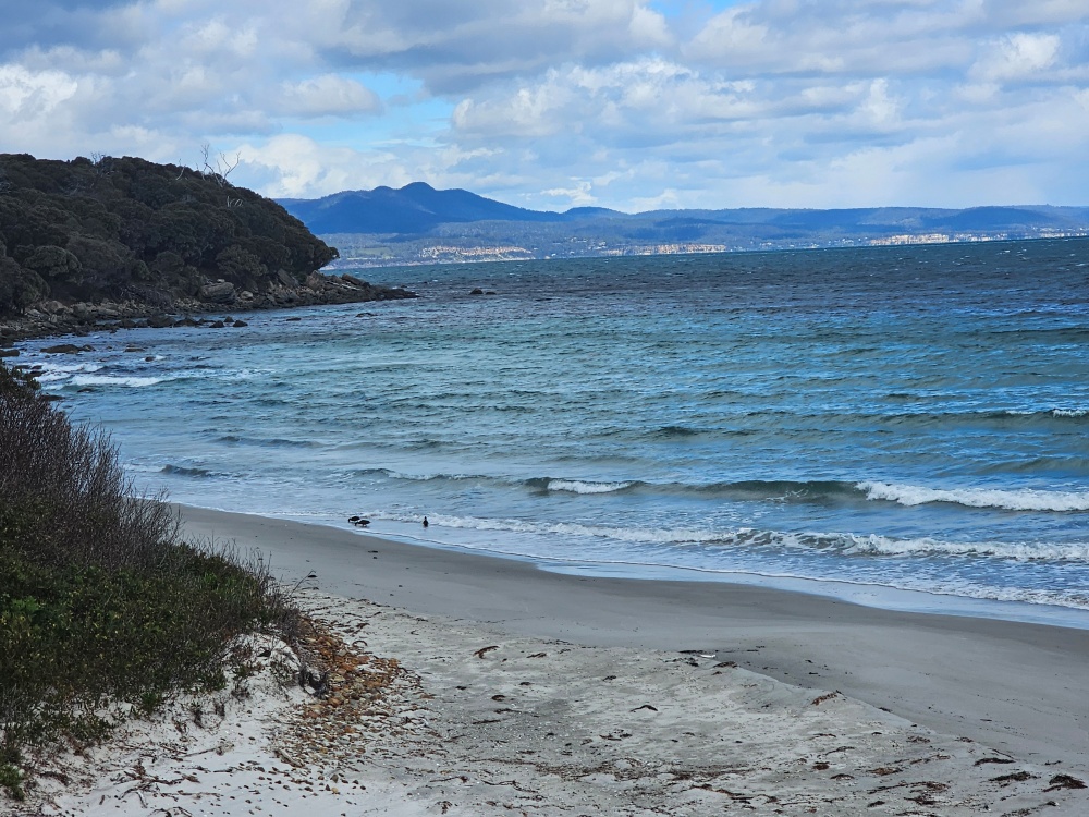 202511浪跡天涯@Tasmania-瑪麗亞島國家公園 Maria Island