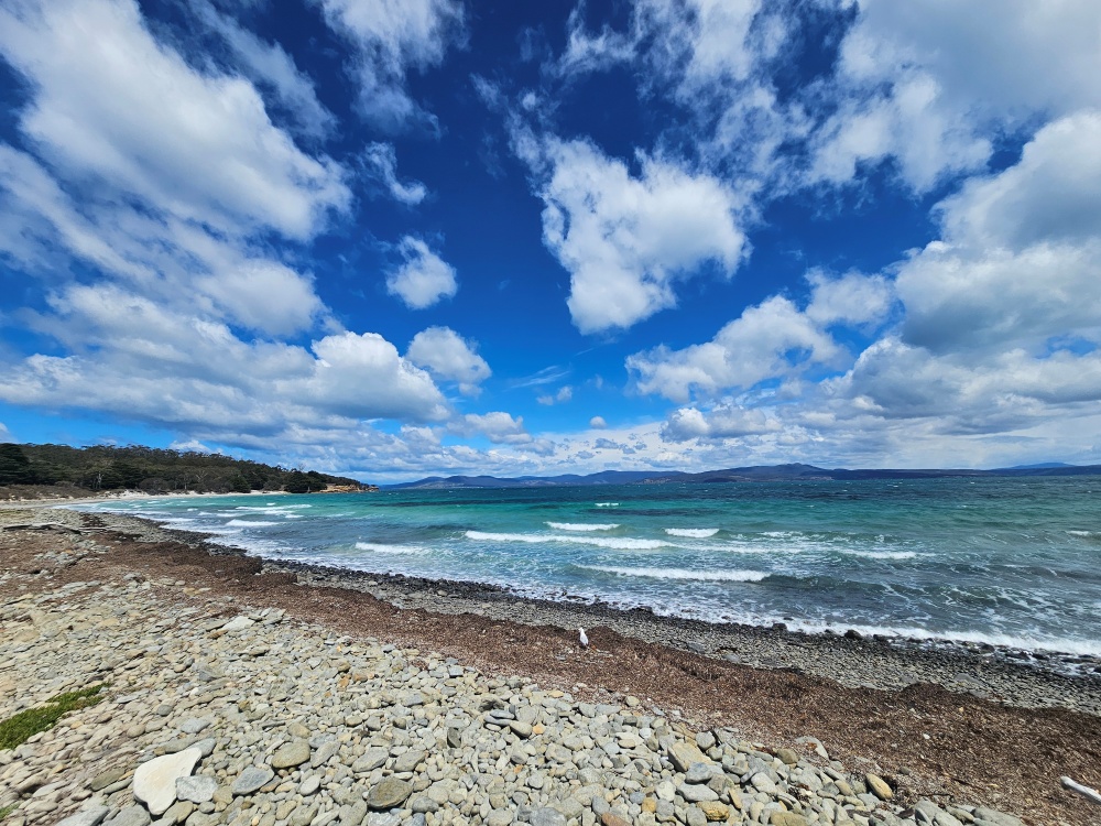 202511浪跡天涯@Tasmania-瑪麗亞島國家公園 Maria Island