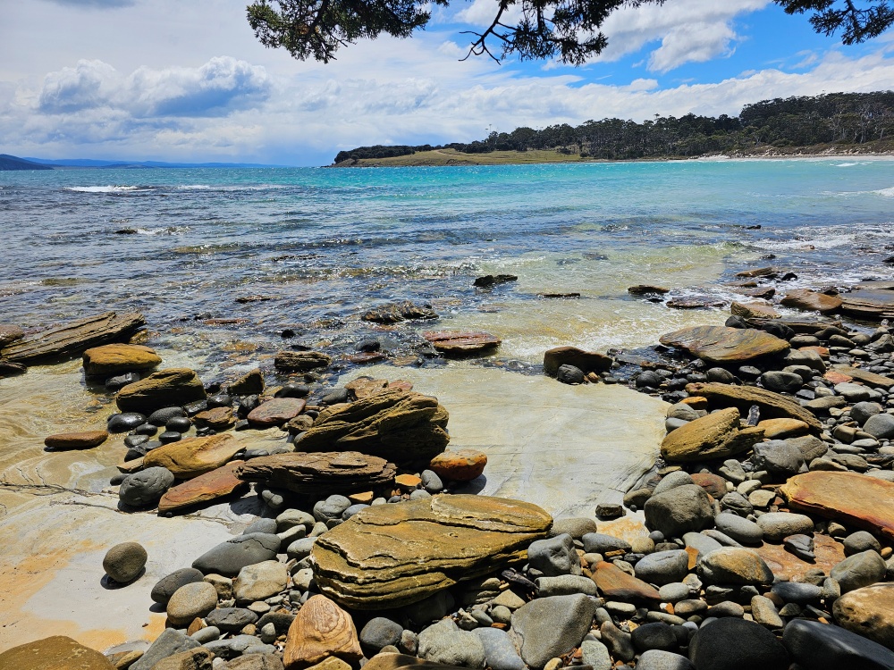 202511浪跡天涯@Tasmania-瑪麗亞島國家公園 Maria Island