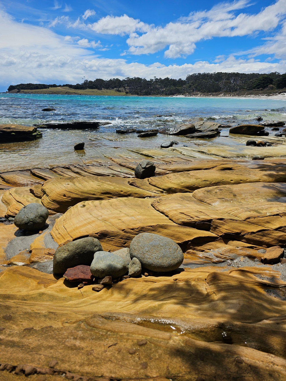 202511浪跡天涯@Tasmania-瑪麗亞島國家公園 Maria Island
