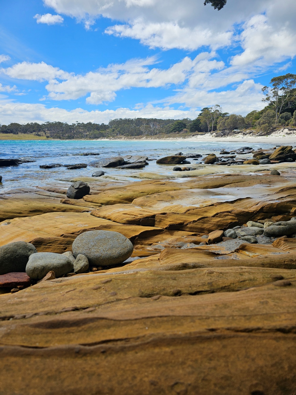 202511浪跡天涯@Tasmania-瑪麗亞島國家公園 Maria Island