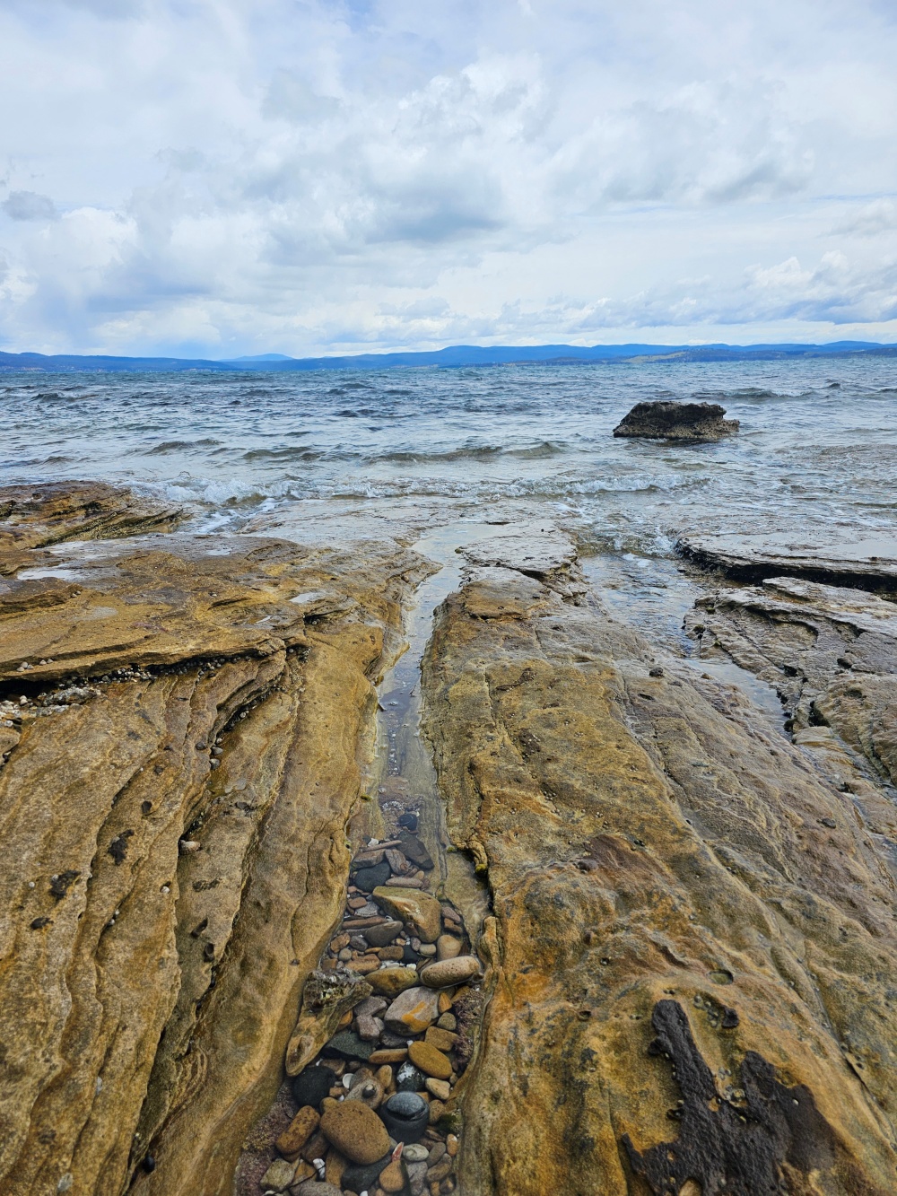 202511浪跡天涯@Tasmania-瑪麗亞島國家公園 Maria Island