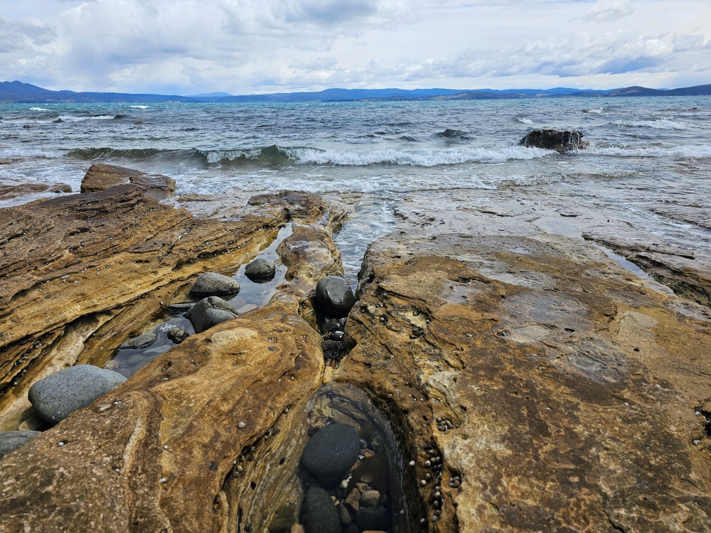 202511浪跡天涯@Tasmania-瑪麗亞島國家公園 Maria Island