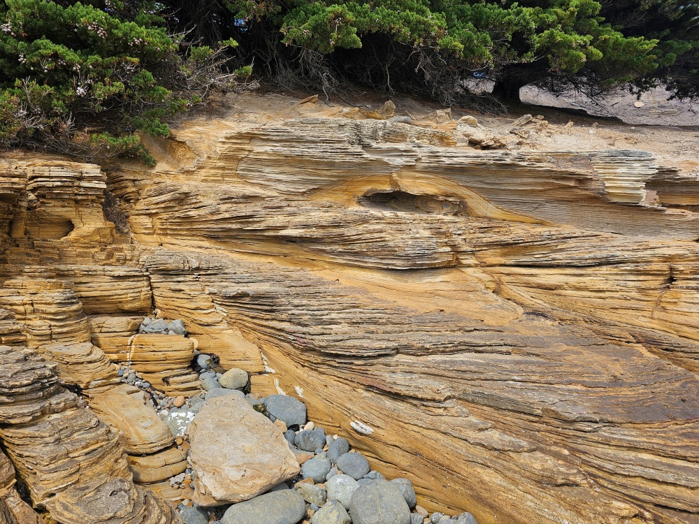 202511浪跡天涯@Tasmania-瑪麗亞島國家公園 Maria Island