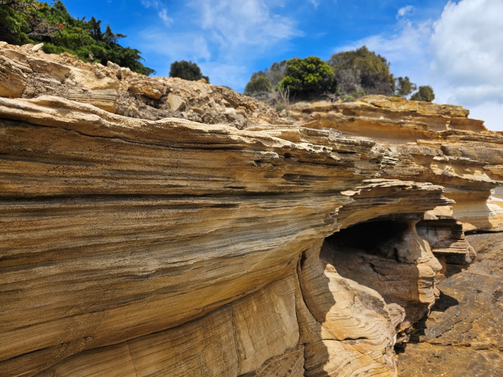 202511浪跡天涯@Tasmania-瑪麗亞島國家公園 Maria Island