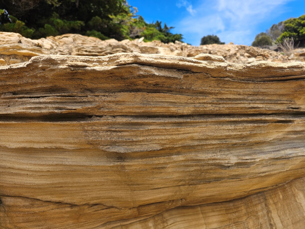 202511浪跡天涯@Tasmania-瑪麗亞島國家公園 Maria Island