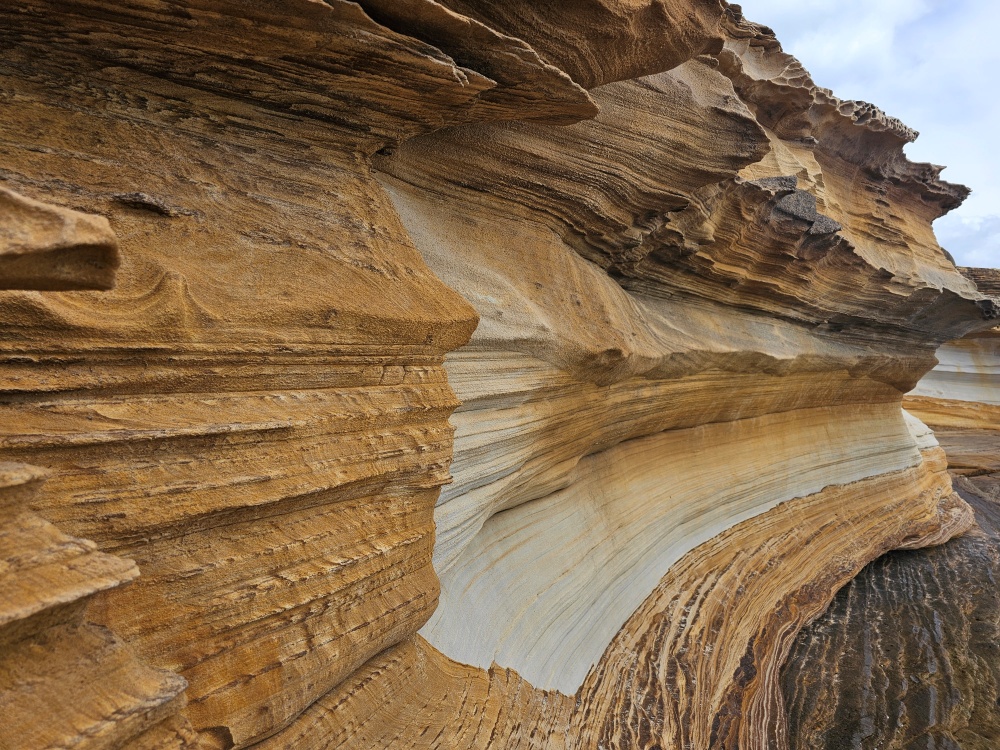 202511浪跡天涯@Tasmania-瑪麗亞島國家公園 Maria Island